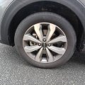 - Photo 6