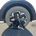 - Photo 6